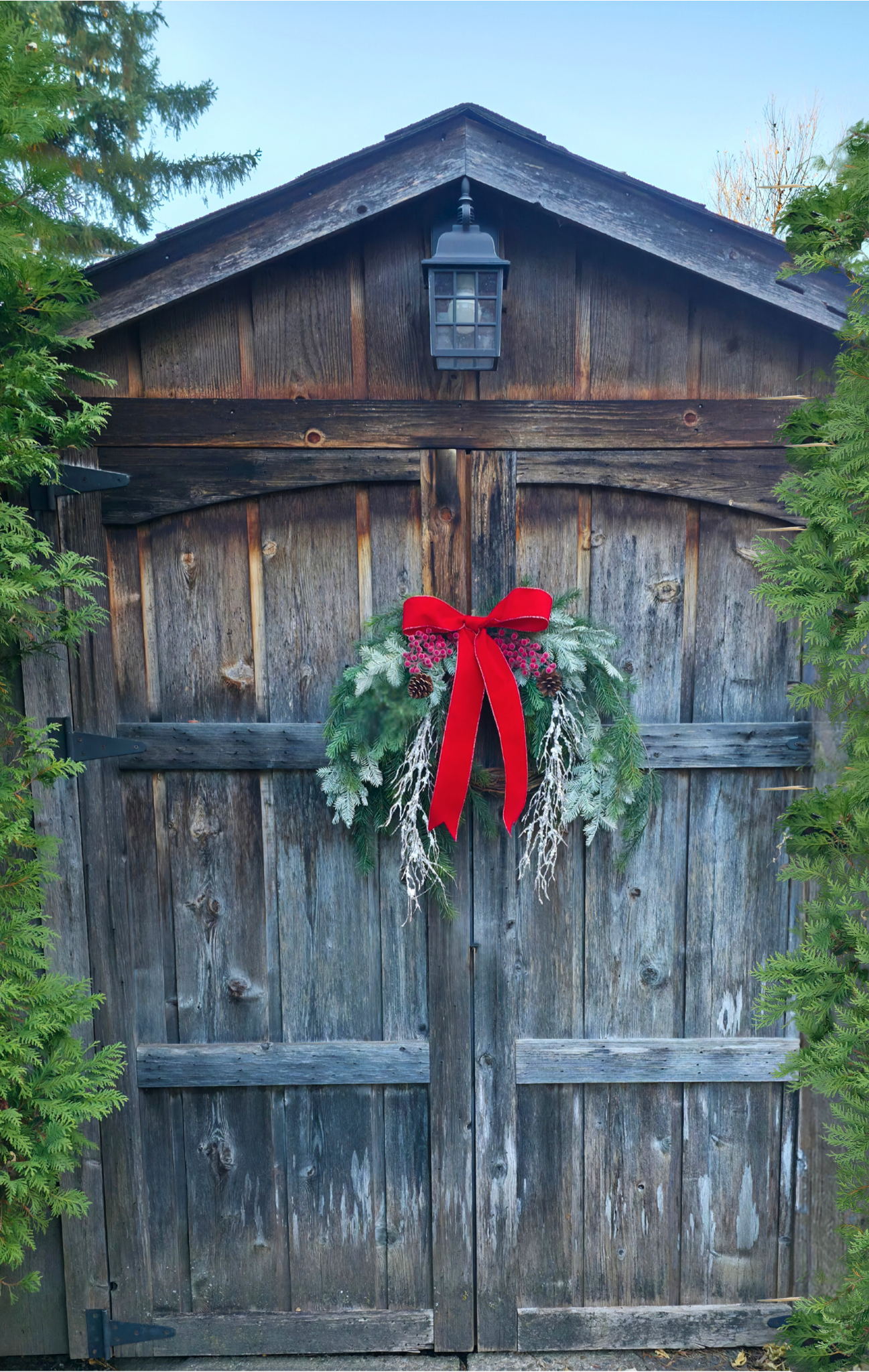 Frosted Fir & Red Velvet Swaggy Luxe Wreath