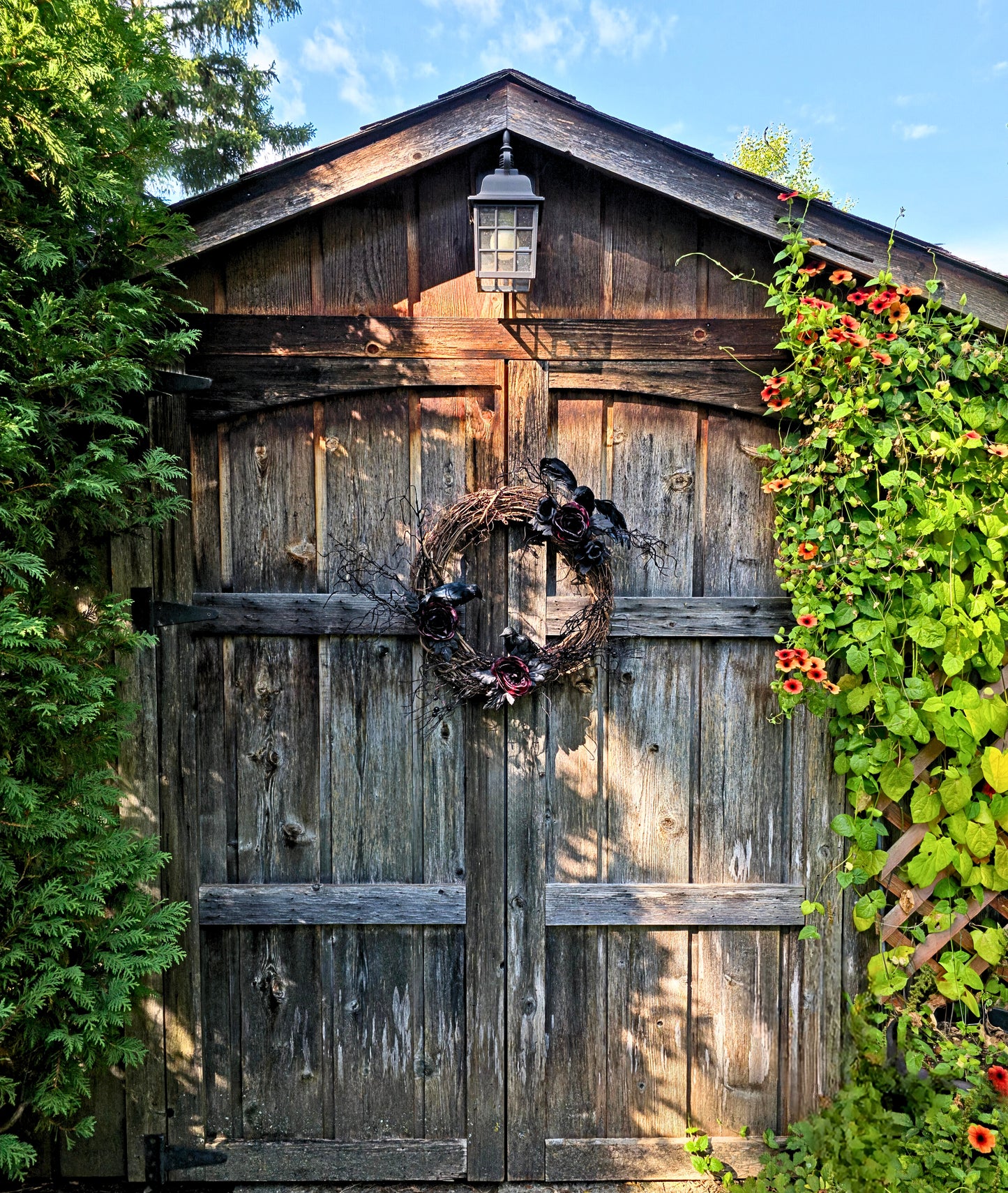 "The Birds" Haunted Halloween Wreath — 18"