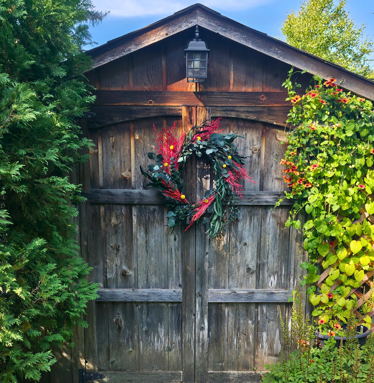 Preserved Eucalyptus & Limonium Wreath with Craspedia Billy Balls - 20"