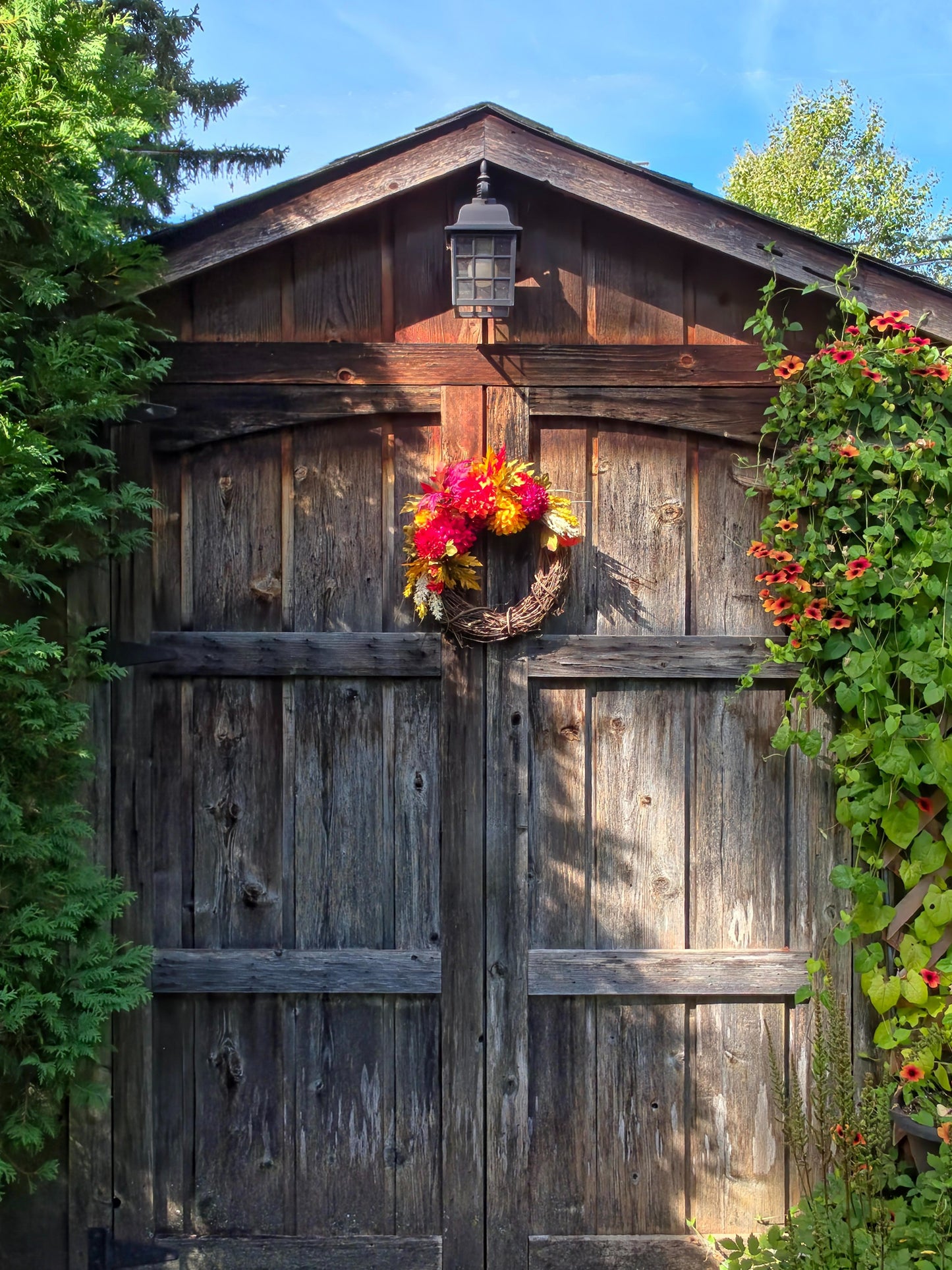 Fall Mums & Foliage Wreath — 14"