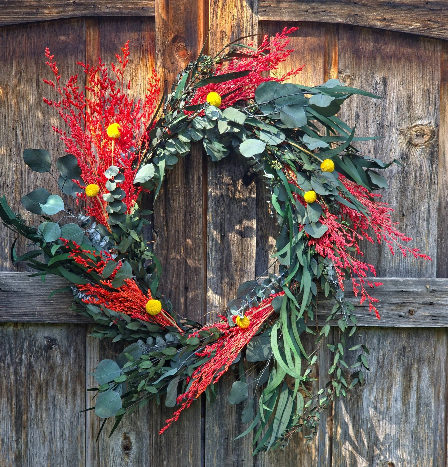 Preserved Eucalyptus & Limonium Wreath with Craspedia Billy Balls - 20"